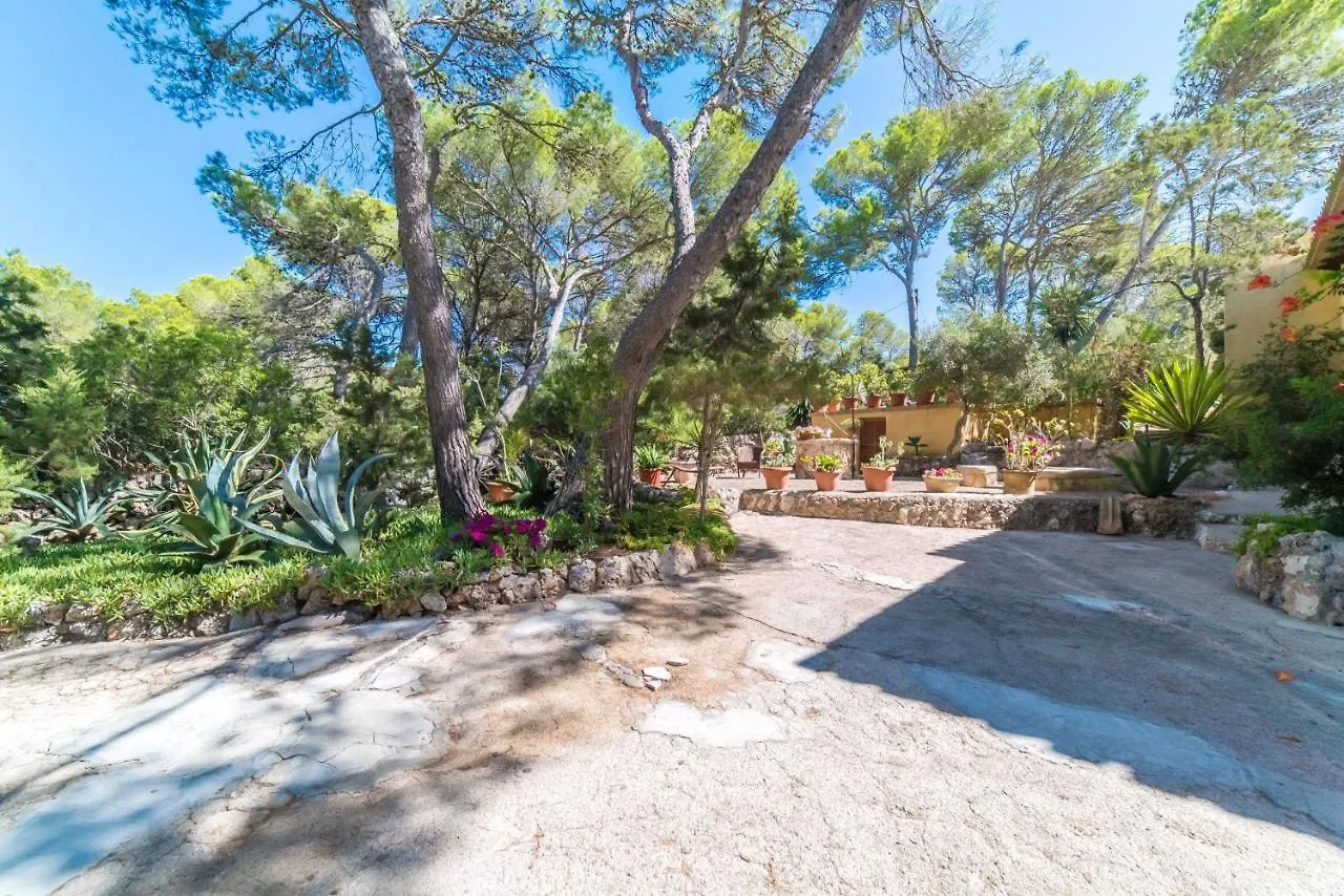 Vakantiehuis Ideal Property Mallorca - Casa Tenis Portopetro Spanje